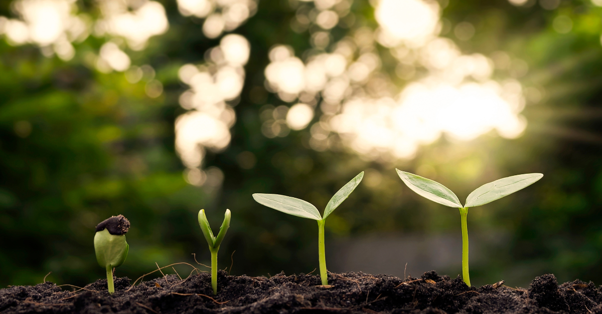 Nurturing a Sustainable Future: The Eco-Friendly Excellence of Fulfilment Centre